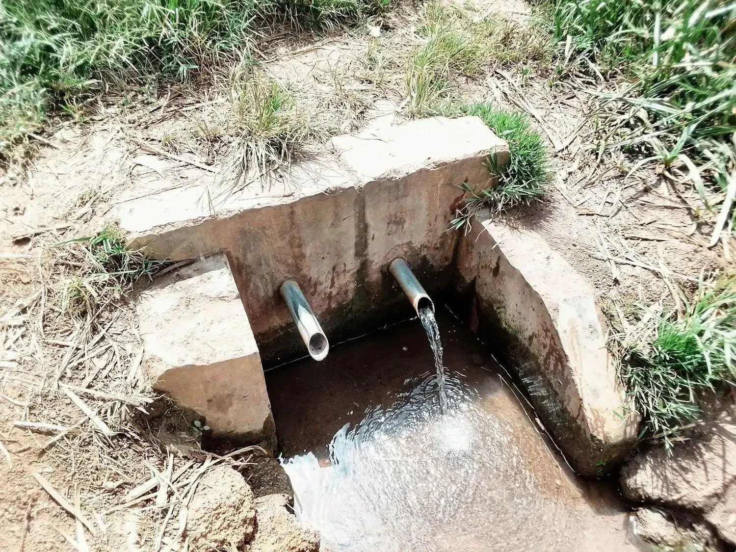 Drainage pipe outlet in a ditch