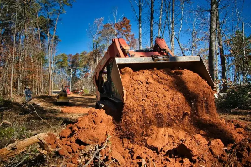 Skid steer clearing a wooded lot